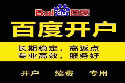 SEM托管公司案例分析：数据驱动决策