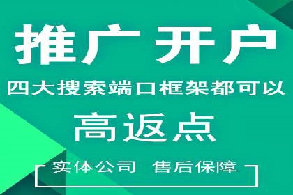 SEM竞价入门指南，经典案例分享